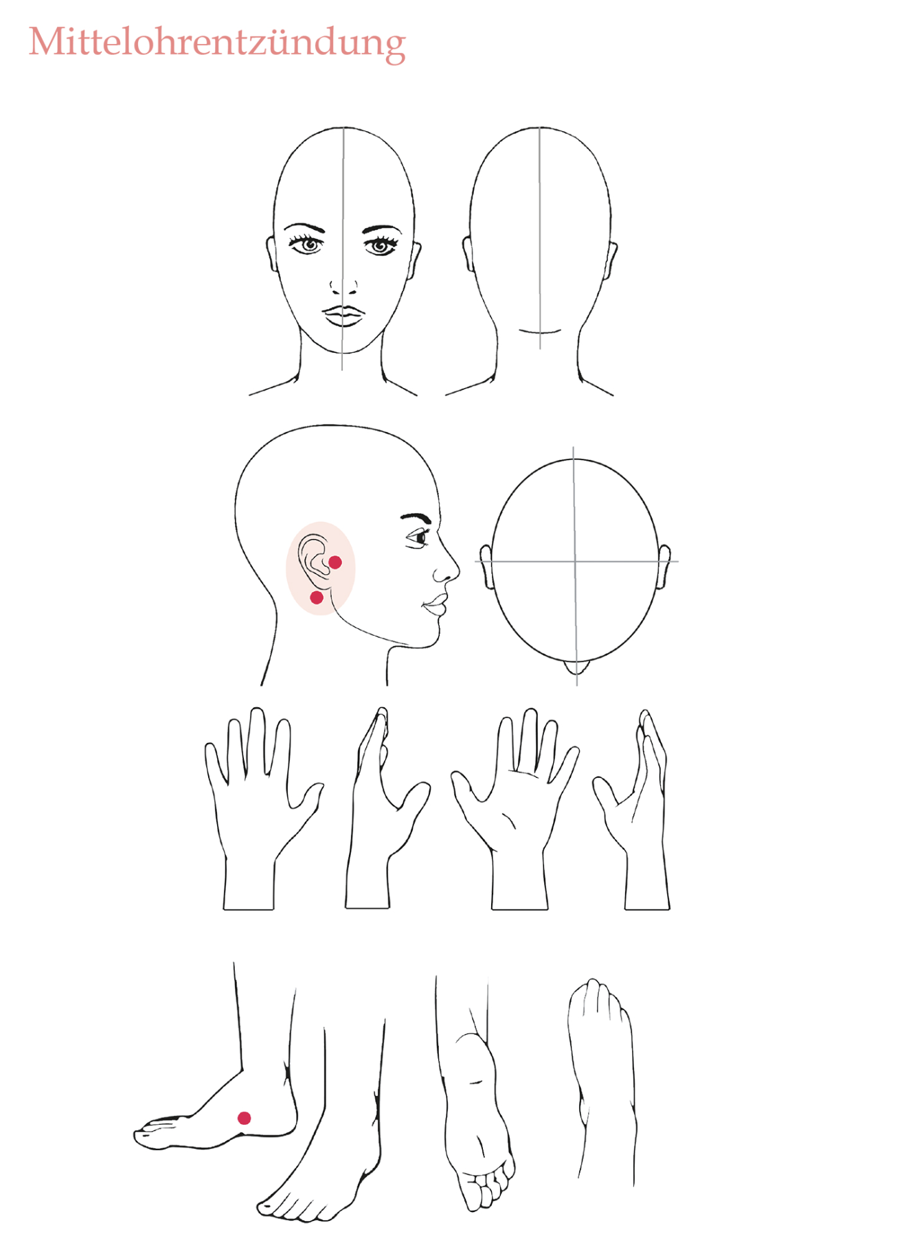 Illustrationen von Kopf, Ohr und Hand mit markierten Punkten zum Abschnitt "Mittelohrentzündung"